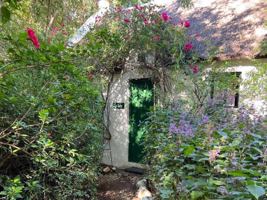 Temenos Retreat Ξενοδοχείο McGregor Δωμάτιο φωτογραφία